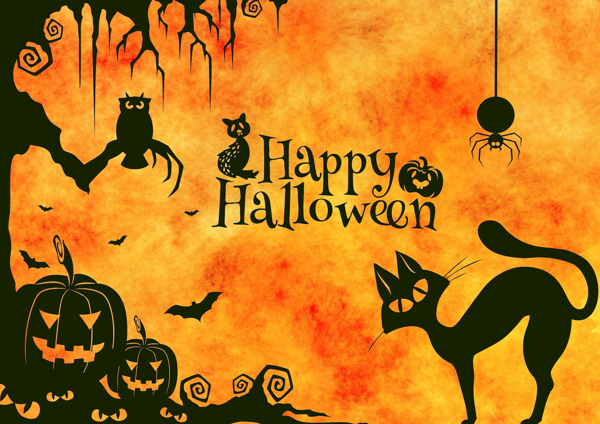 할로윈(Halloween)에 대해서 알아보기 할로윈(Halloween)에 대해서 알아보기