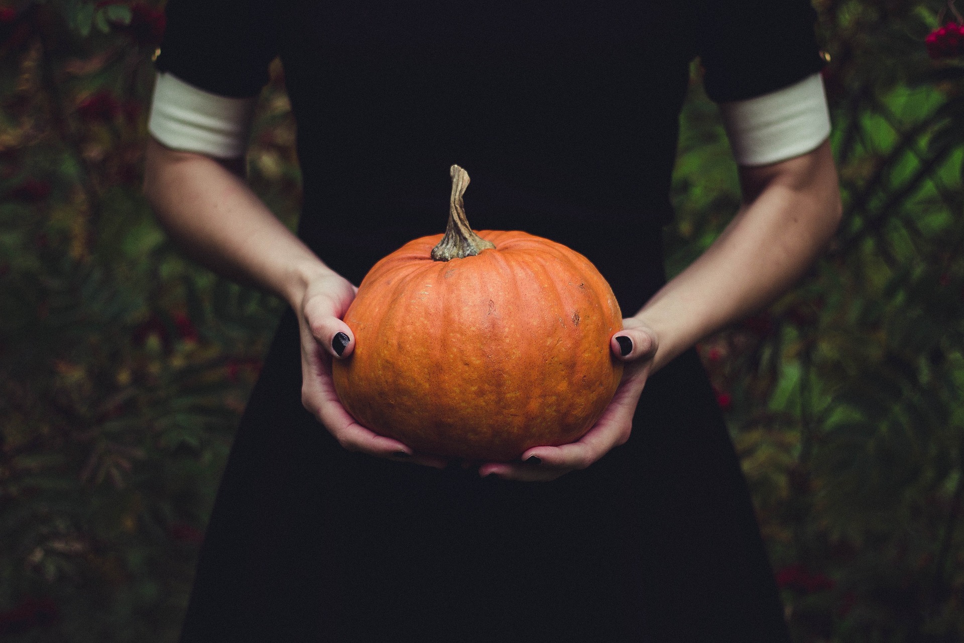 할로윈(Halloween)에 대해서 알아보기 5 img 1226