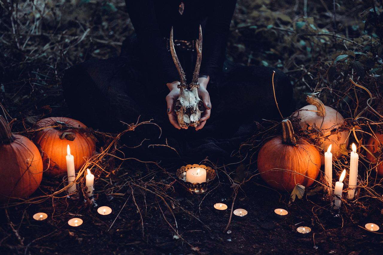 할로윈(Halloween)에 대해서 알아보기 7 img 1228