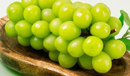 루비로망, 샤인머스캣, 한라봉이 모두 일본에서 개발했다고? 루비로망, 샤인머스캣, 한라봉이 모두 일본에서 개발했다고?