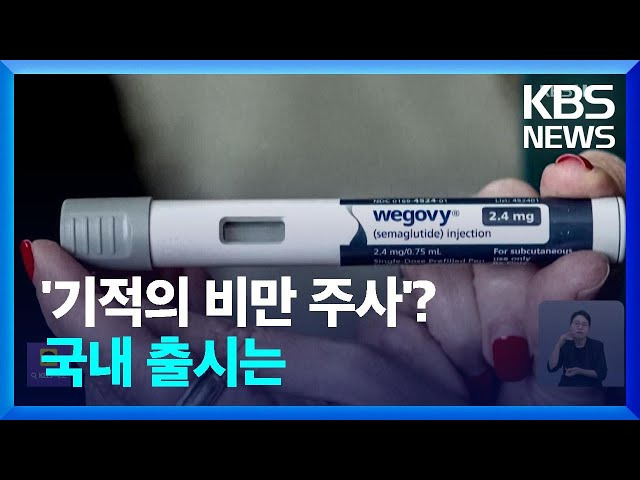 국내 출시 예상 시기