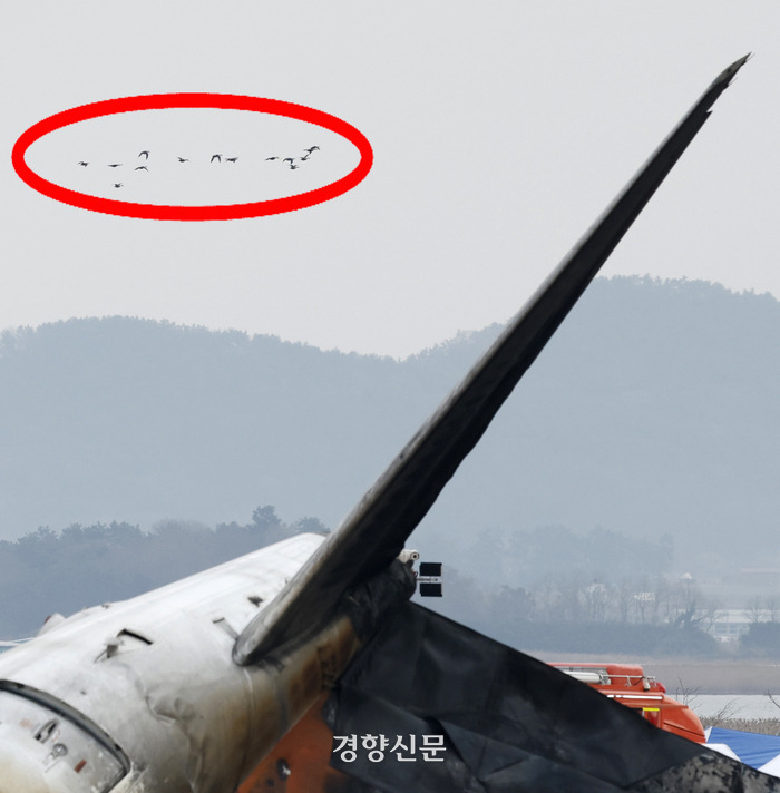 제주항공 사고 엔진 가창오리 깃털 확인 2 사고 개요