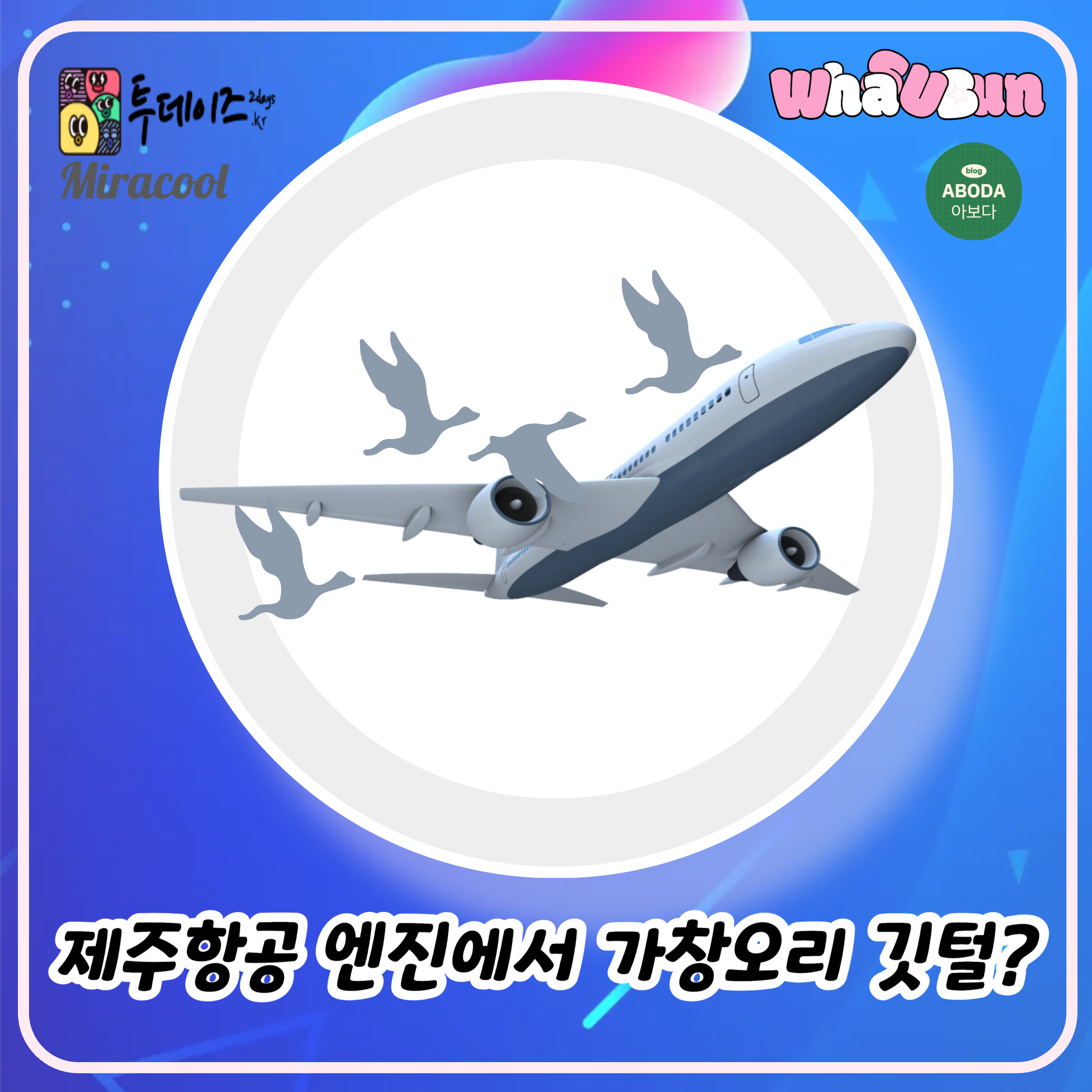 제주항공 사고 엔진 가창오리 깃털 확인 제주항공 사고 엔진 가창오리 깃털 확인