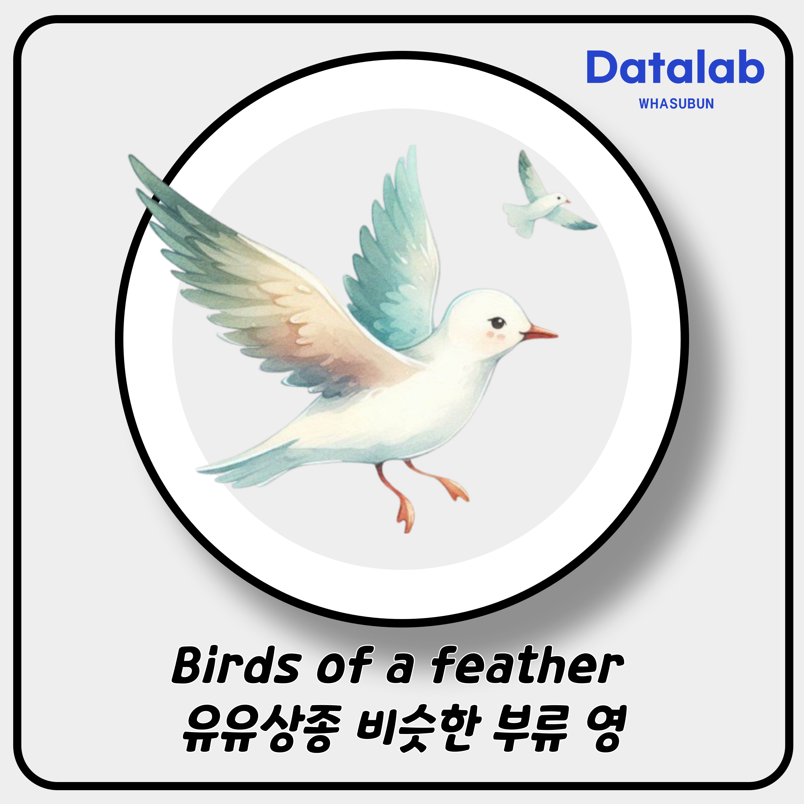 Birds of a feather 유유상종 비슷한 부류 영어로 Birds of a feather 유유상종 비슷한 부류 영어로